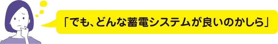 でも、どんな蓄電システムが良いのかしら