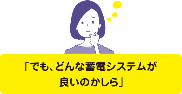 でも、どんな蓄電システムが良いのかしら